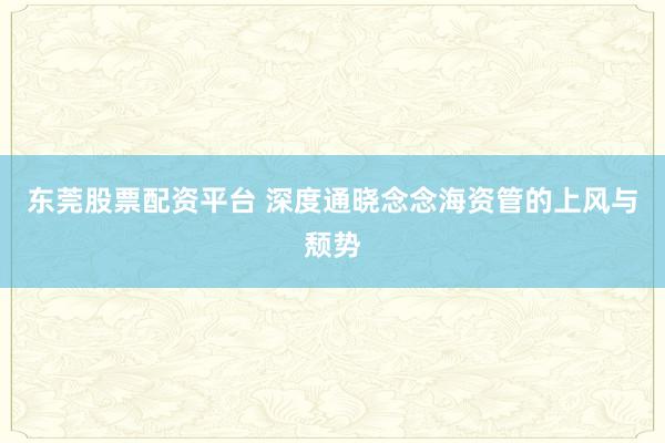 东莞股票配资平台 深度通晓念念海资管的上风与颓势