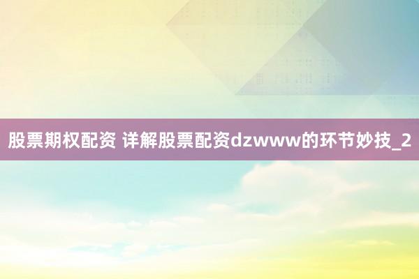 股票期权配资 详解股票配资dzwww的环节妙技_2
